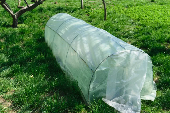 Bouw je eigen kas » Verlaagt dit de kosten?